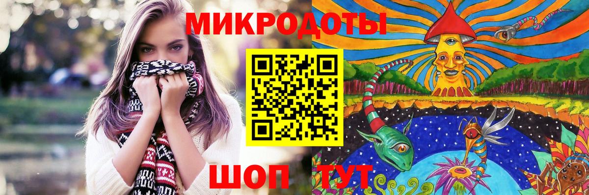 Галлюциногенные грибы Psilocybe Егорьевск