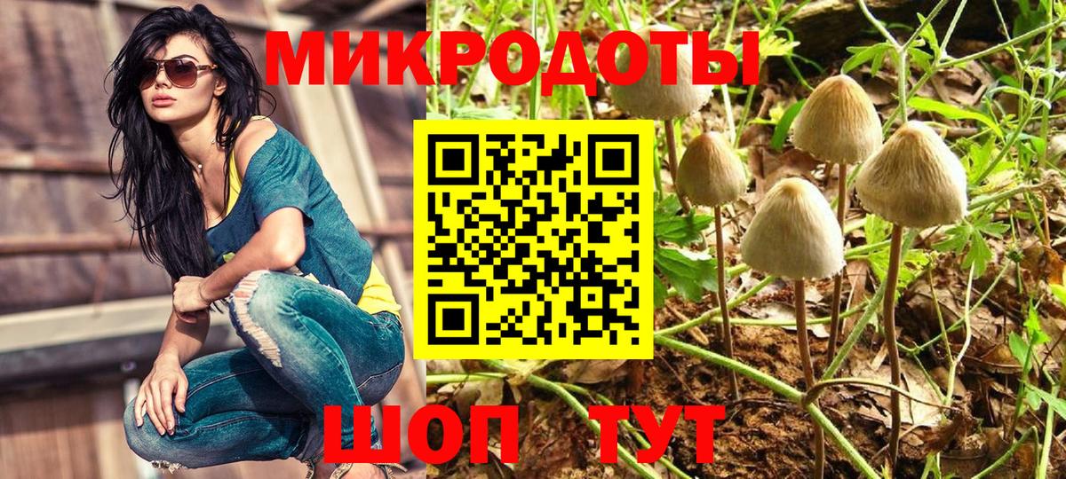Галлюциногенные грибы Magic Shrooms  Вход с VPN  Псилоцибиновые грибы Psilocybe  Егорьевск 